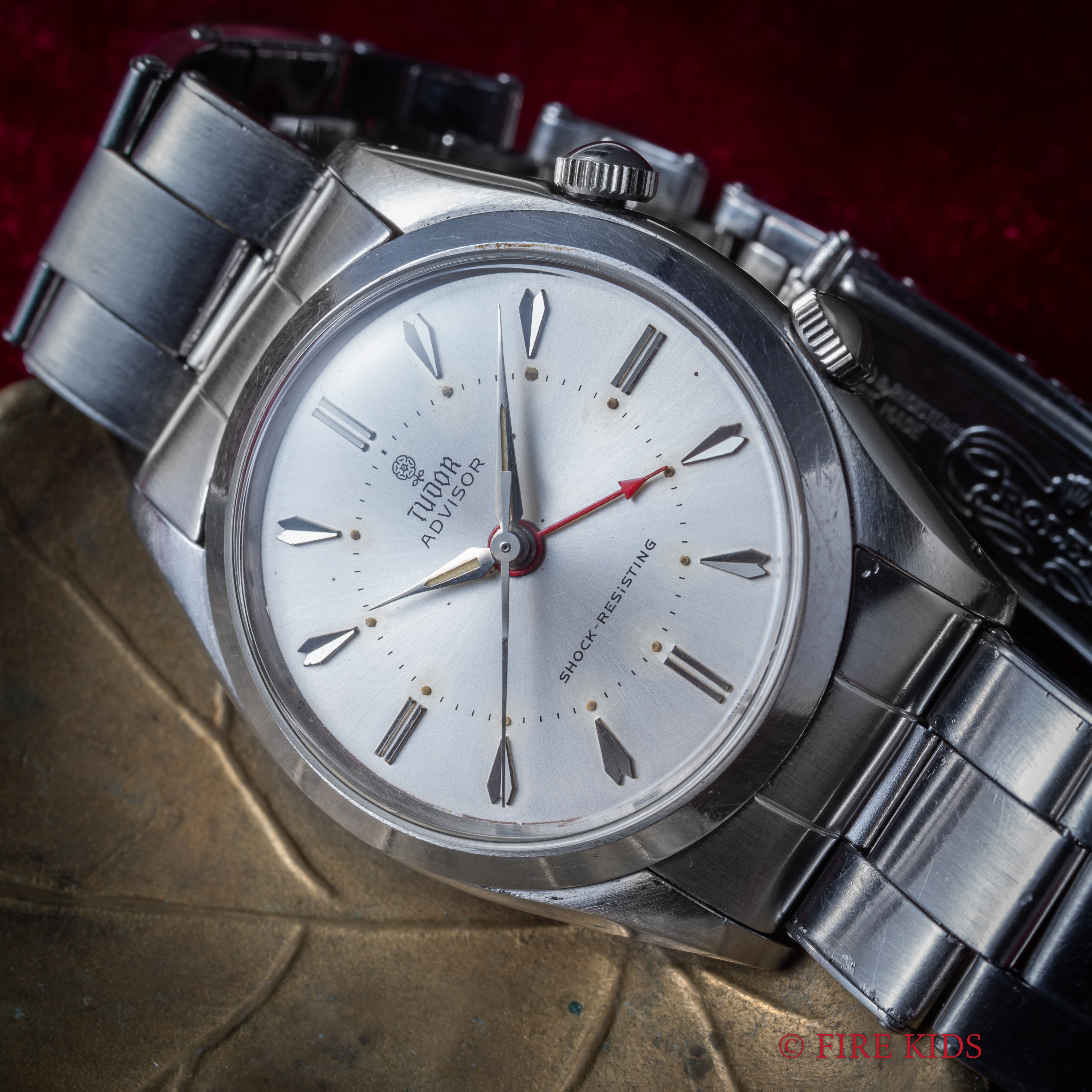 TUDOR　アドバイザー