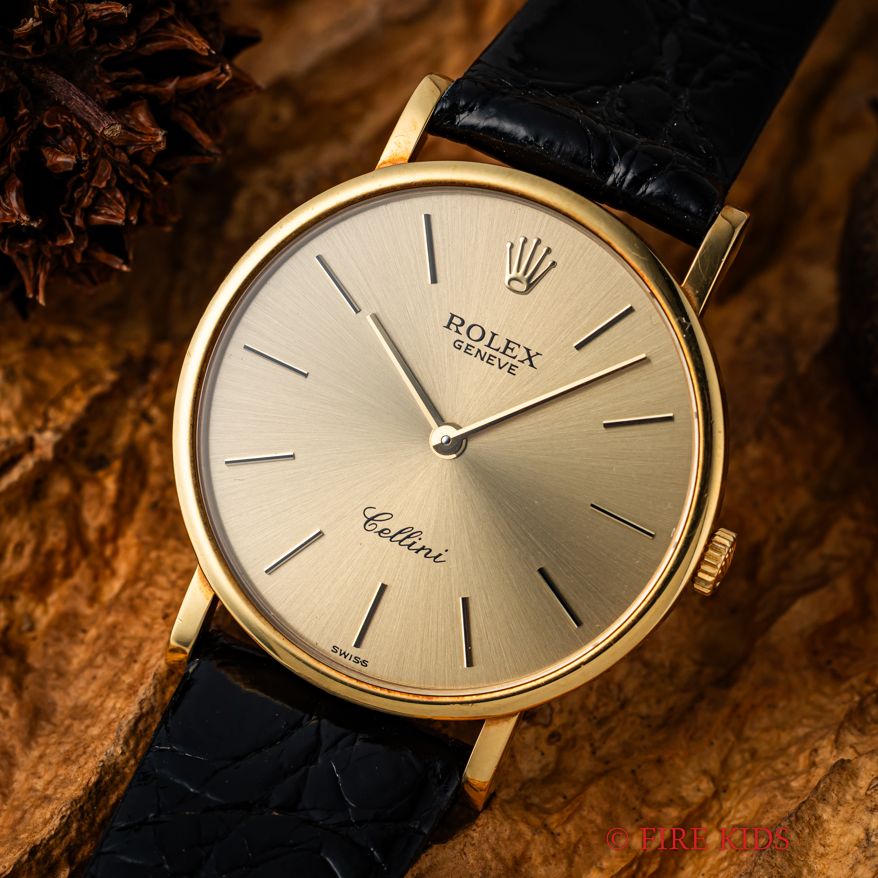 人気や流行に左右されない選び方