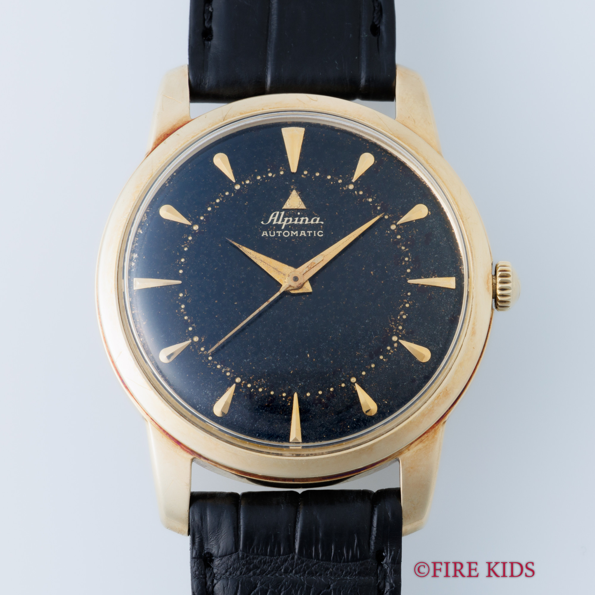 FIREKIDS｜ファイアーキッズ / アルピナ 14金無垢ケース バンパー