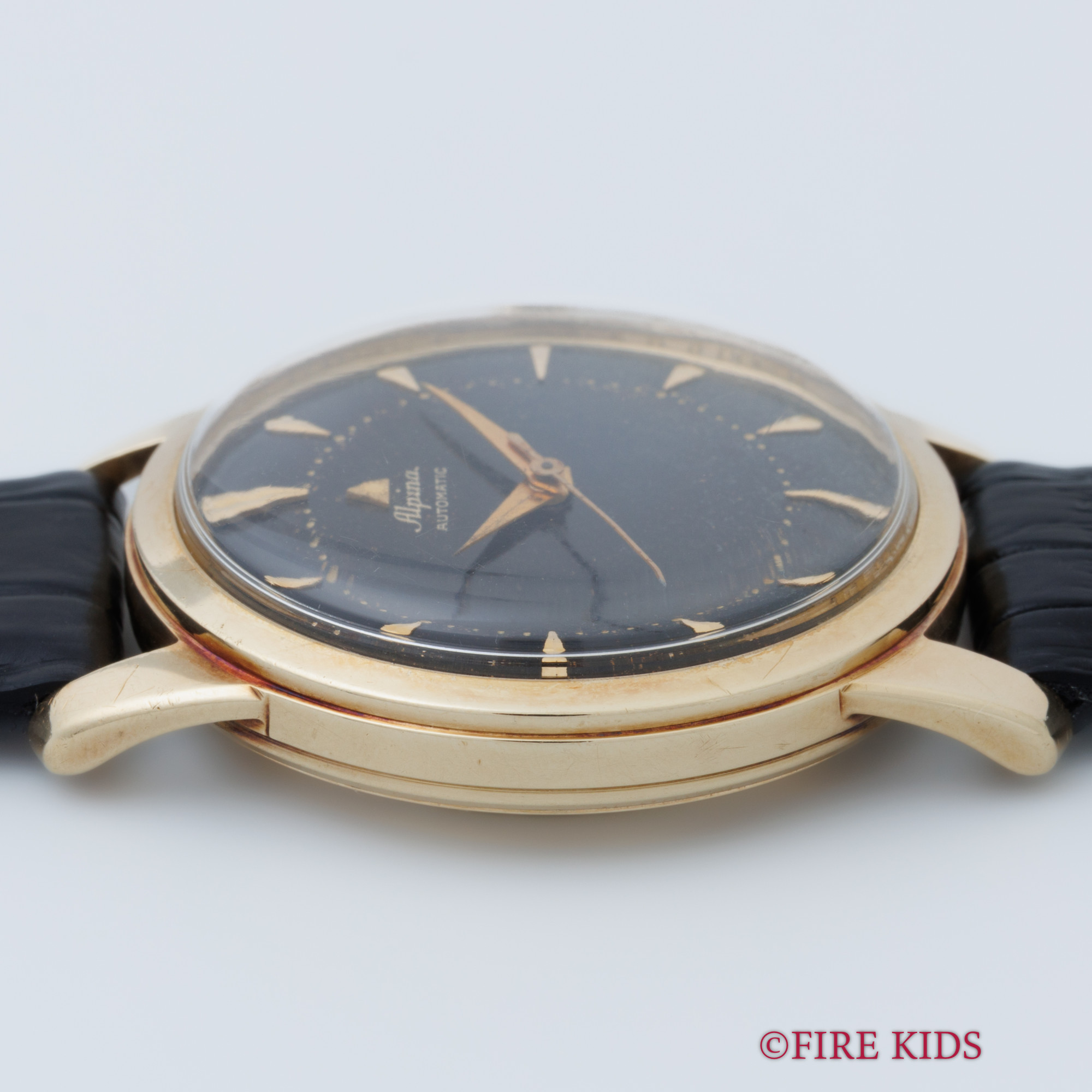 FIREKIDS｜ファイアーキッズ / アルピナ 14金無垢ケース バンパー