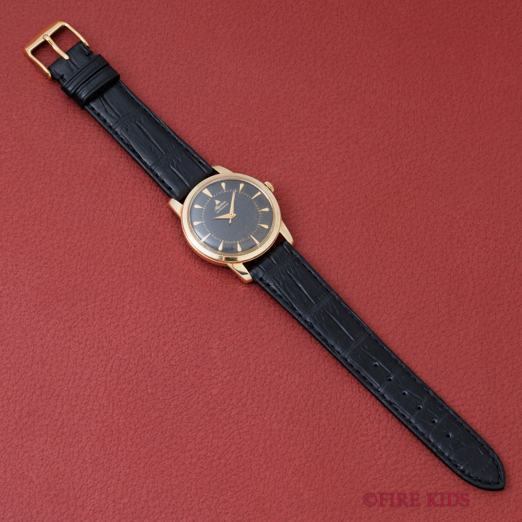 FIREKIDS｜ファイアーキッズ / アルピナ 14金無垢ケース バンパー