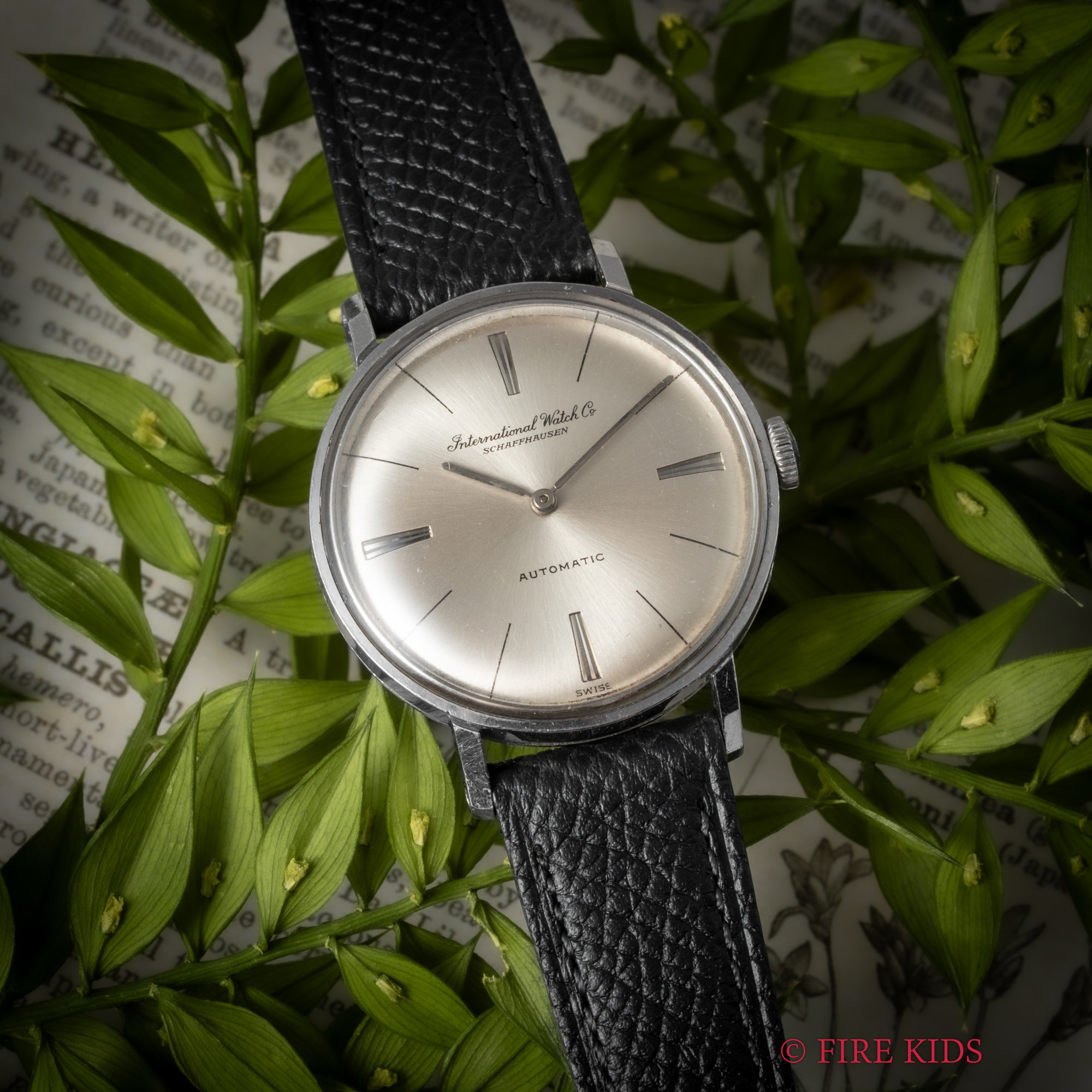 IWC ラウンドケース ボーイズ 1964年製 Cal.44
 シーラカンスリューズ